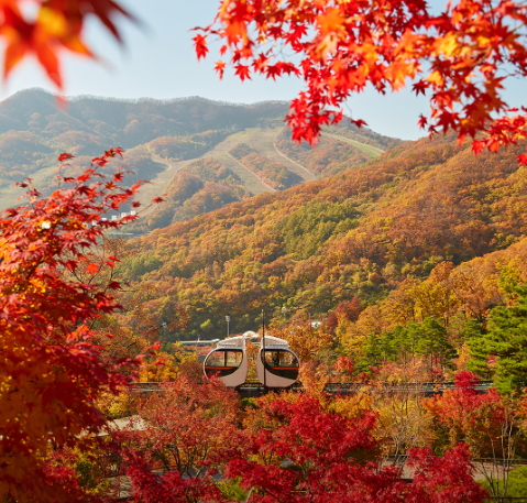 ファダムスプの森の紅葉に満ちた風景