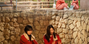 森の中の韓方ランド